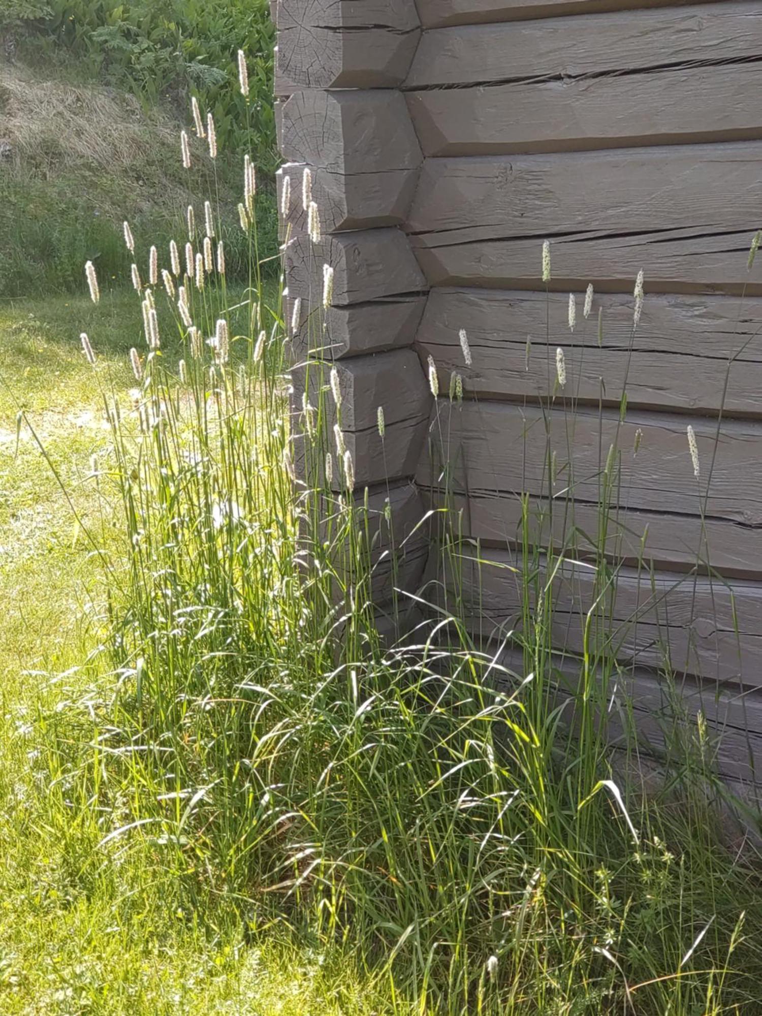 Fyrkloeverns Stugby Rattvik Exterior photo